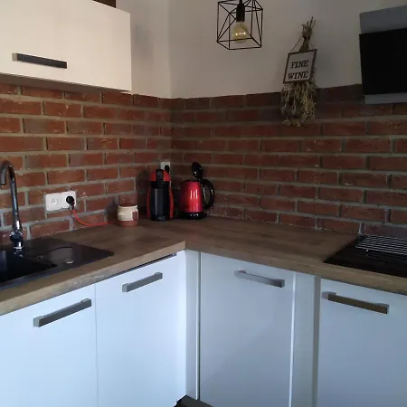 Σπίτι διακοπών - Krusne Hory *