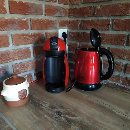 Σπίτι διακοπών - Krusne Hory Kovářská