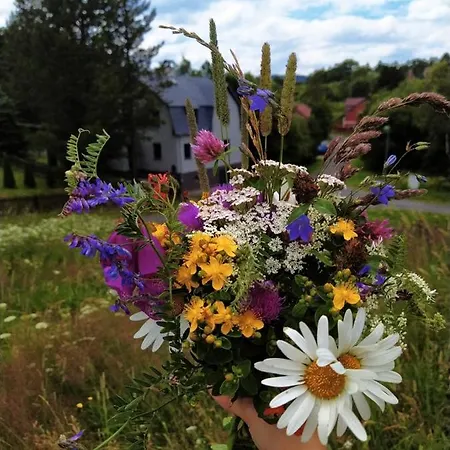 - Krusne Hory Σπίτι διακοπών Kovářská