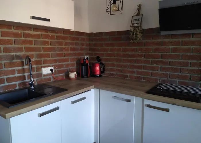 Semesterbostad - Krusne Hory *