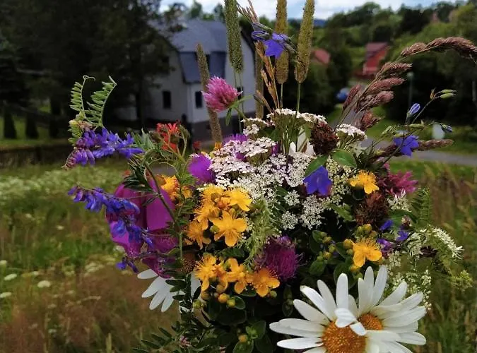 - Krusne Hory Semesterbostad Kovářská